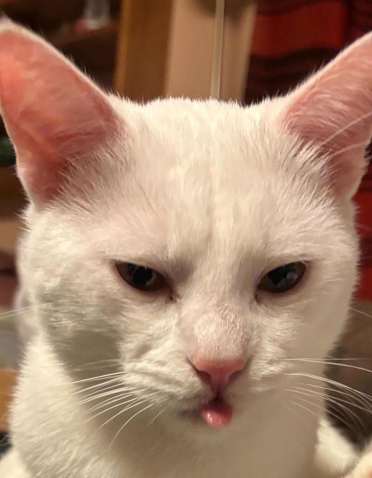 Close-up of Sheriff Ruma's white face and stern expression